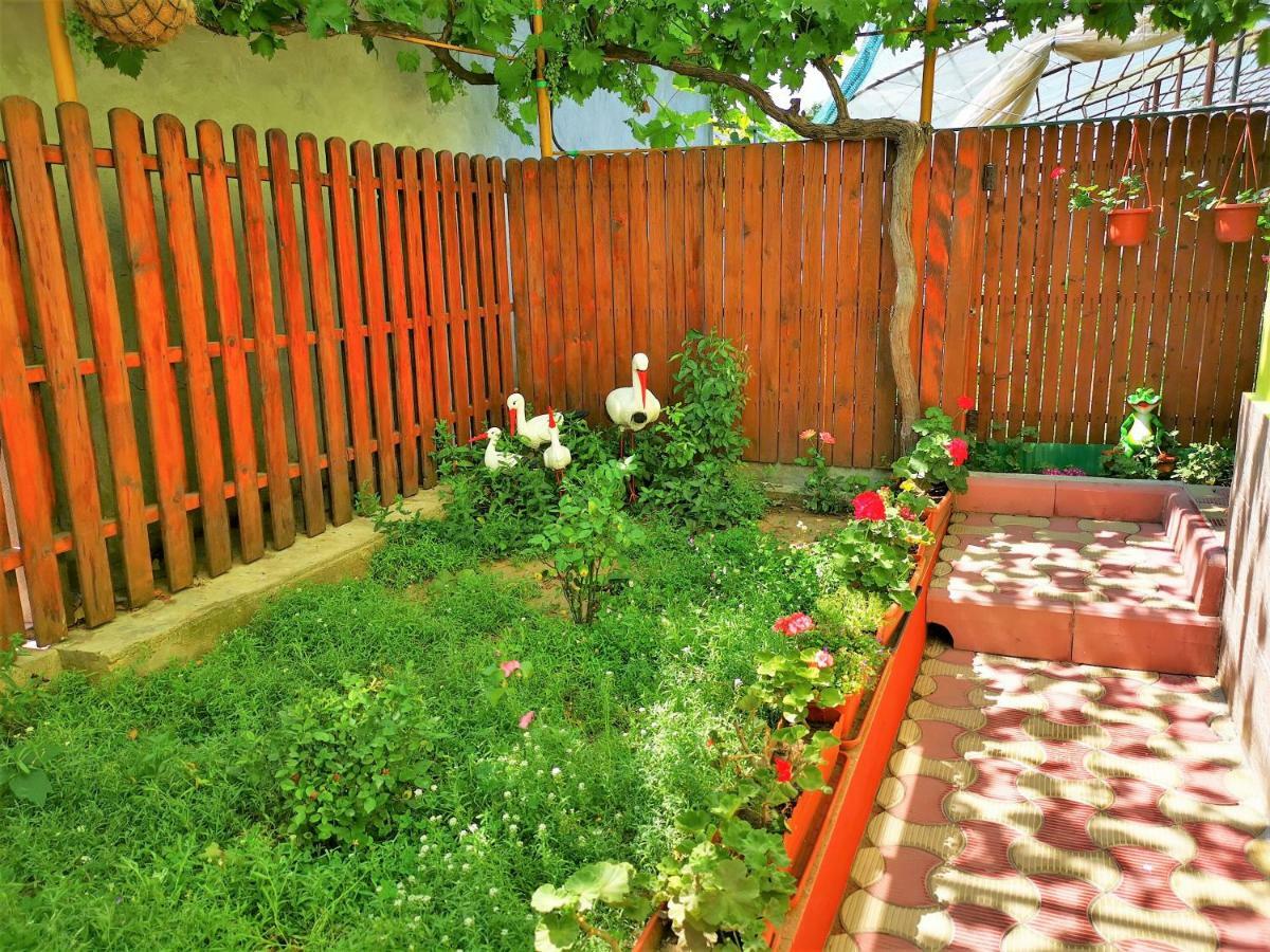 Pensjonat Casa Nelu Pescaru
